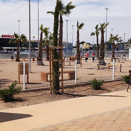 Bungalow Carpe Diem Wifi Torrevieja Exteriör bild