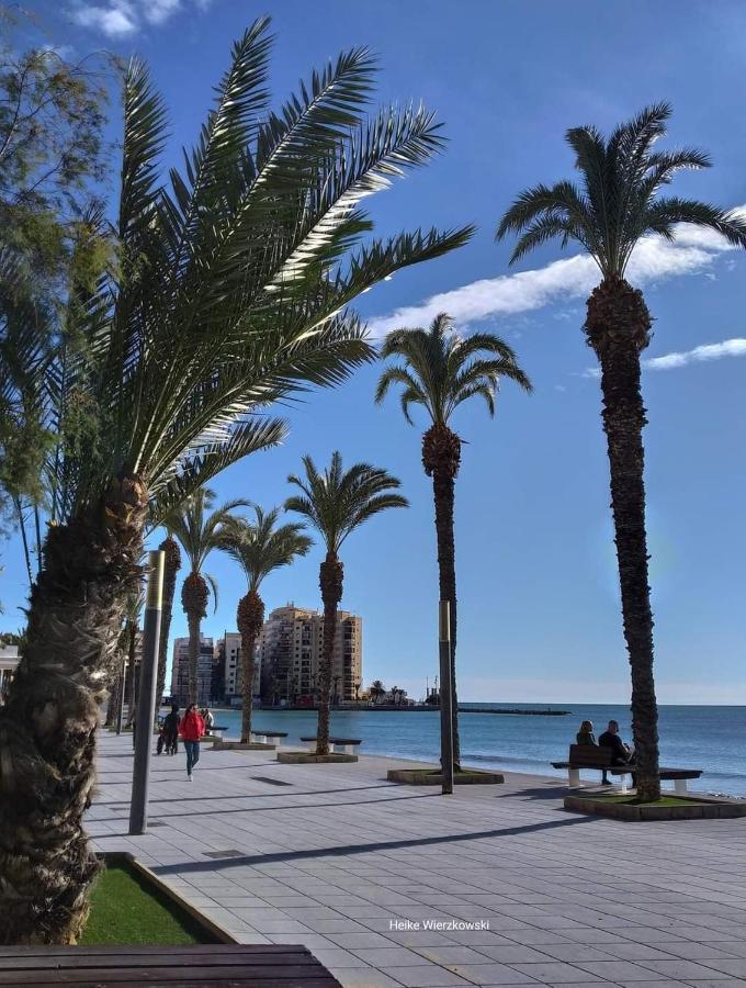 Bungalow Carpe Diem Wifi Torrevieja Exteriör bild